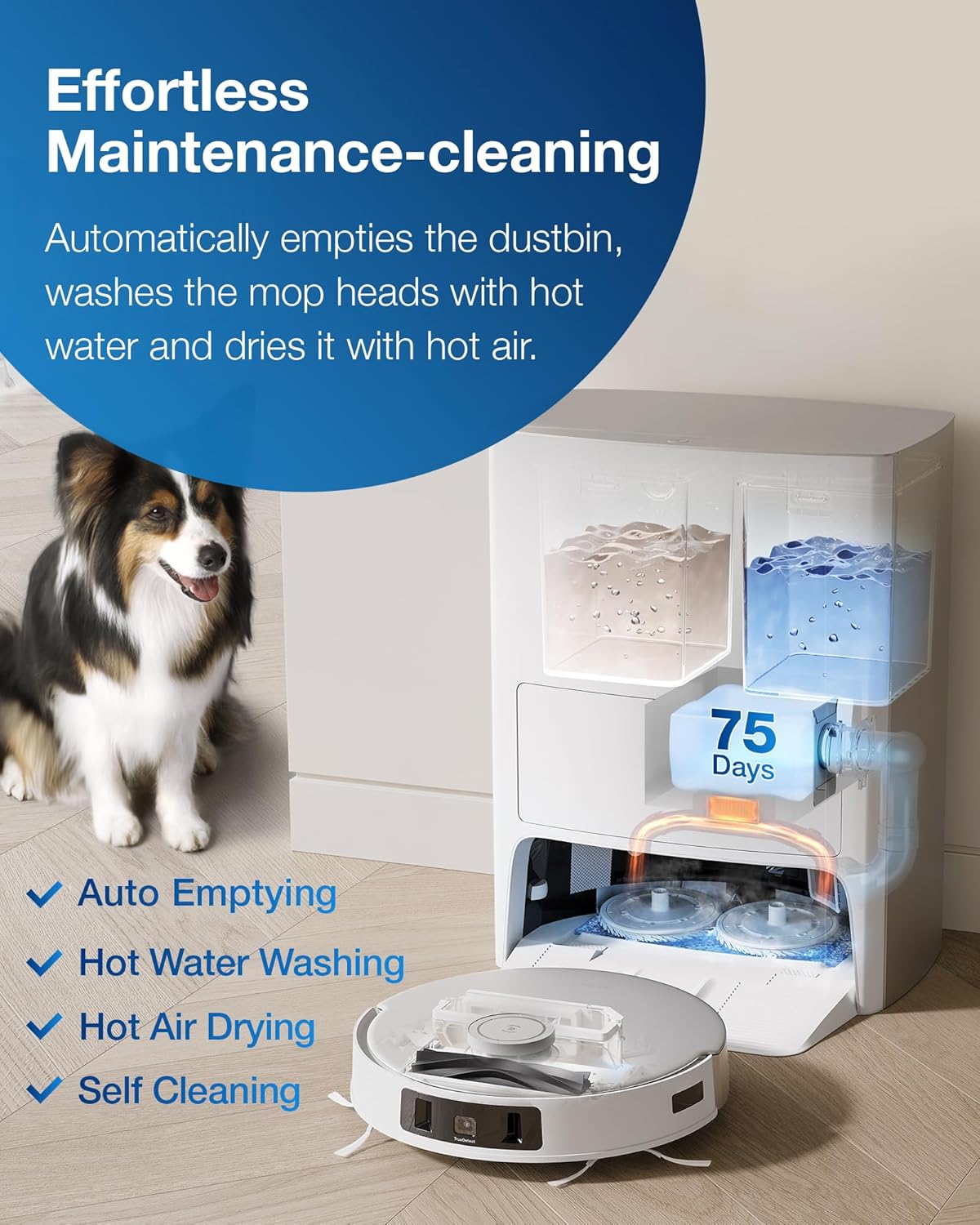 (Refurbished) ECOVACS DEEBOT T20 Omni – Robot Vacuum & Mop with Hot Water Wash & Auto-Empty Dock